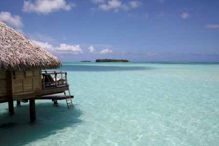 Lynn Wilson, Shared Travel