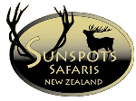 Sunspots Safaris