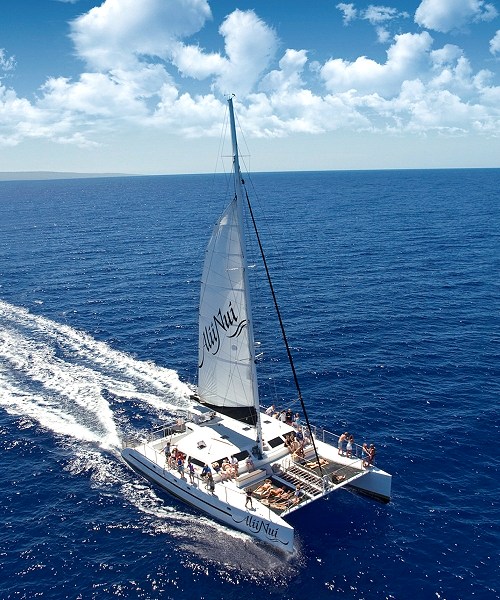 Alii Nui Snorkel Sail - Alii Nui Snorkel Sail. Copyright Alii Nui.