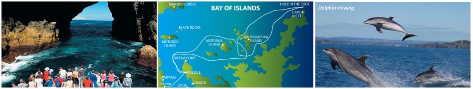 Hole in the Rock Dolphin Cruise - Bay Of Islands Dolphin Cruises And Tours.