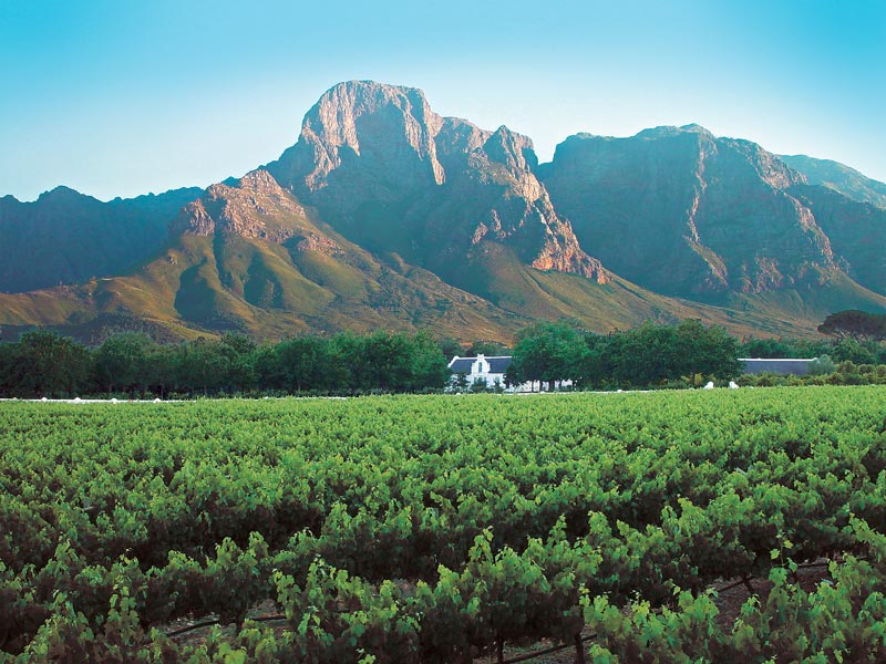 Overview - Cape Winelands. Copyright 34 South Tours.
