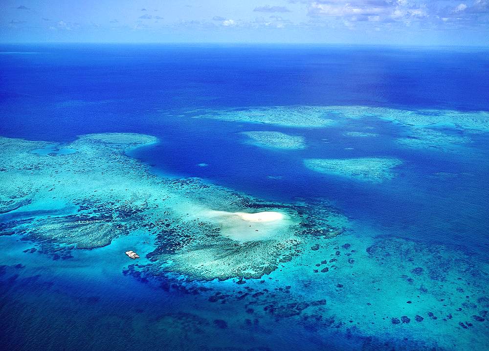 Beaver & Eddy Reefs - Castaways Resort & Spa Mission Beach. Copyright Castaways Resort & Spa Mission Beach.