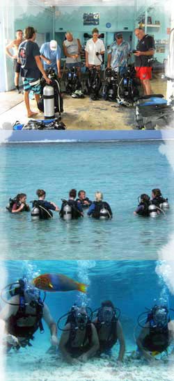 Lagoon Dive - Dive Centre.