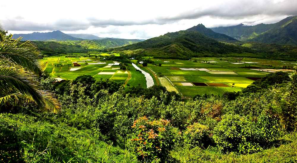 Hanalei Town, Kauai - Reviews, Pictures, Map