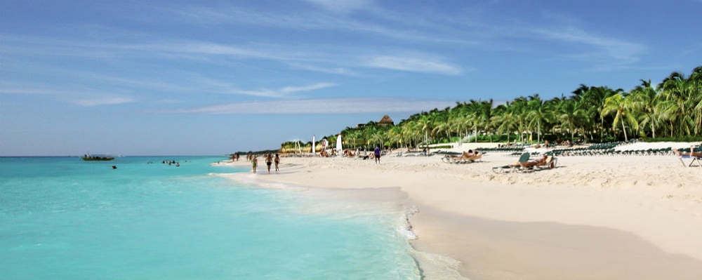 Hotel Riu Tequila Mexico Reviews Pictures Virtual Tours Videos Hotel Riu Tequila