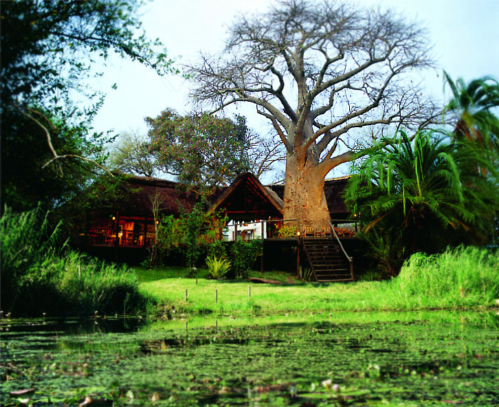 Impalila Lodge - Impalila Island Lodge. Copyright Impalila Island Lodge.