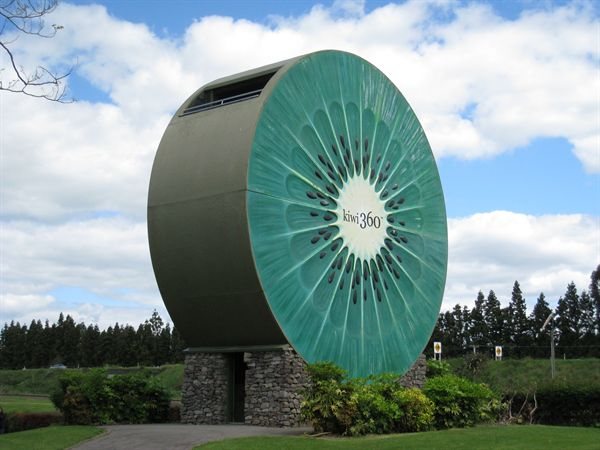 Kiwi 360 - Kiwi 360. Copyright Kiwi 360.