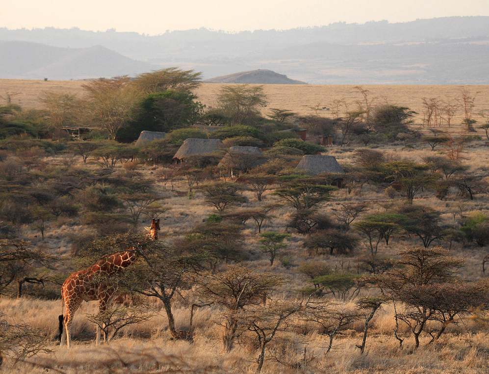 Lewa Safari Camp - Lewa Safari Camp. Copyright Cheli & Peacock.