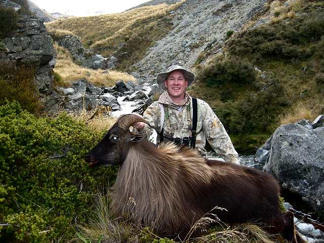Red Stag and Himalayan Bull Tahr Combo - Lilydale Wilderness Area. Copyright Lilydale Wilderness Area.