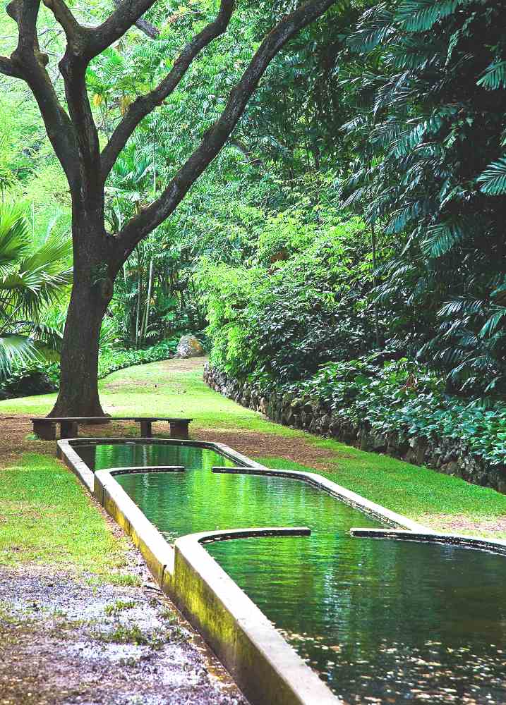 Reflection Pool at the McBryde Garden - McBryde Garden. Copyright Hawaii Tourism Authority (HTA) / Tor Johnson.
