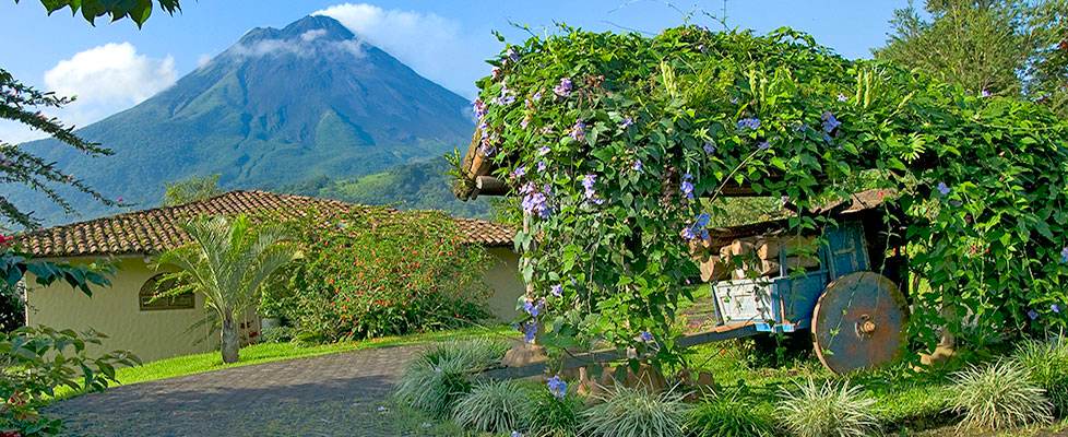 Mountain Paradise Hotel - Mountain Paradise Hotel. Copyright Mountain Paradise Hotel.