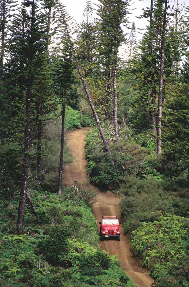Jeep Along the Munro Trail - Munro Trail. Copyright Hawaii Tourism Authority (HTA) / Tor Johnson.