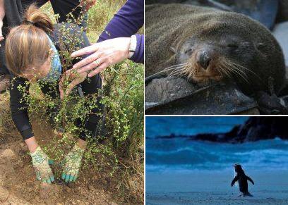 2-Night Nature Package - Nature Guides Otago.