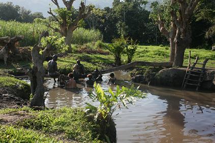 The 'Sabeto Hot Springs' - The 'Sabeto Hot Springs'.