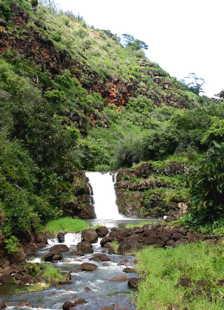 Waihi Falls in the Waimea Valley - Waimea Valley. Copyright Hawaii Tourism Japan (HTJ).